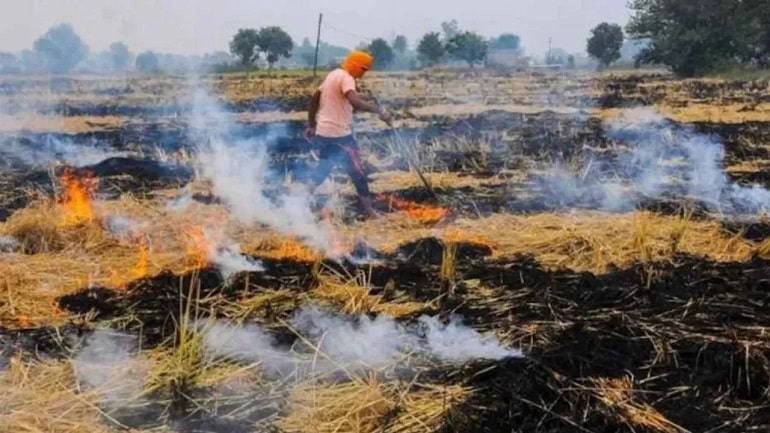 उत्तर प्रदेश:  पराली न जलाएं, कृषि विभाग और राजस्व विभाग की किसानों से अपील 