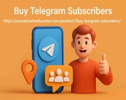 How to Buy Subscribers, Views, and Reactions on Telegram