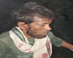 नीलगाय से टकराई बाइक, संतकबीर नगर का युवक गंभीर घायल; मूर्ति लेने जा रहा था पाऊ बाजार