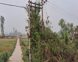 कुदरहा: विद्युत विभाग की लापरवाही से खतरे में राहगीरों की जान