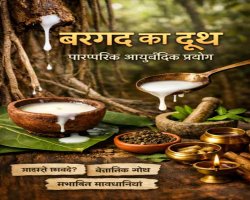 बरगद के पेड़ का दूध: पारंपरिक आयुर्वेदिक प्रयोग, वैज्ञानिक संकेत और छिपी सावधानियों की पूरी पड़ताल
